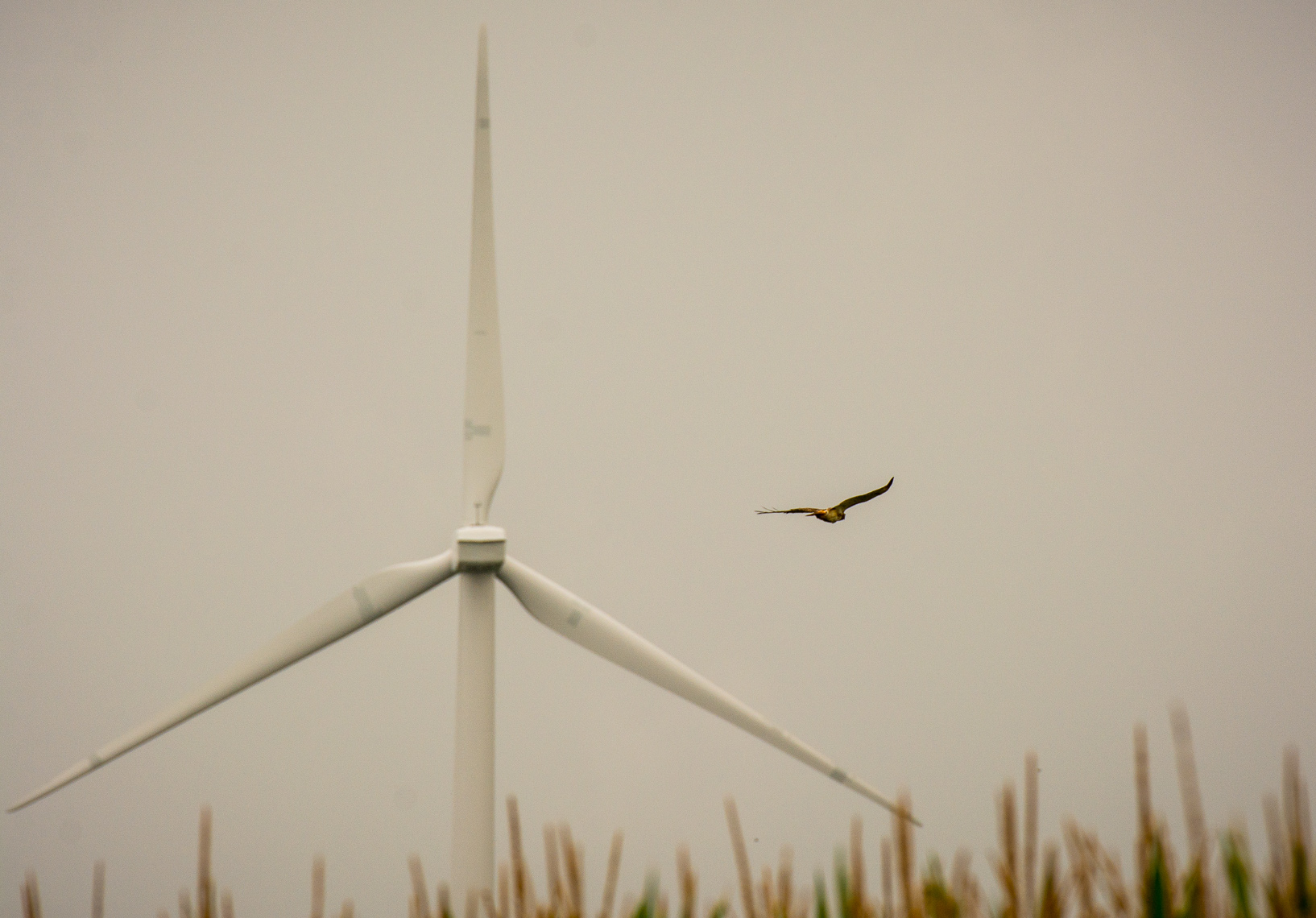 Renewable Energy Construction Photography | Wind Energy in the Midwest